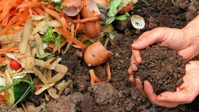 Making Natural Fertilizer from Kitchen Scraps